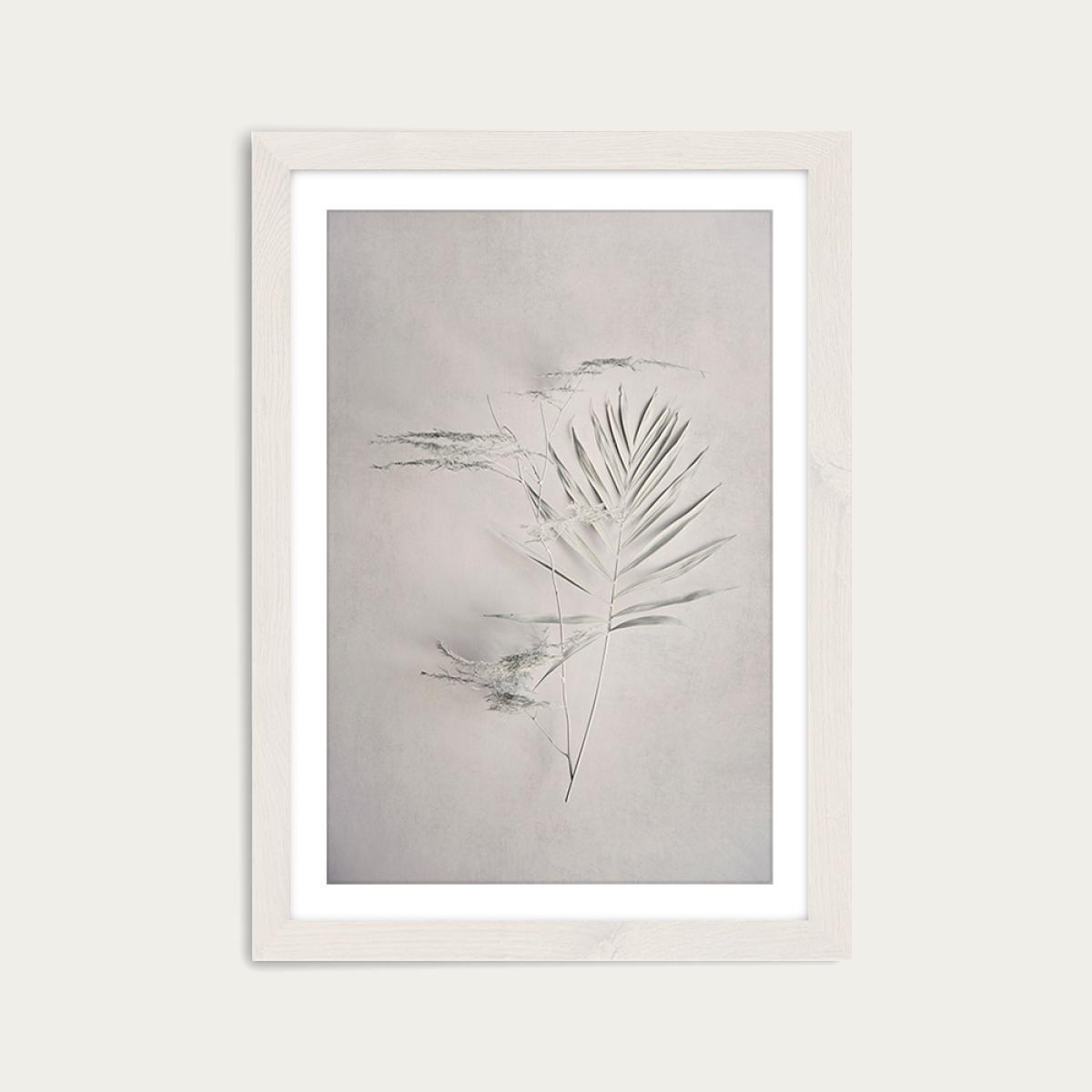 Alabaster Forest 6 Art Print White Frame – image 1