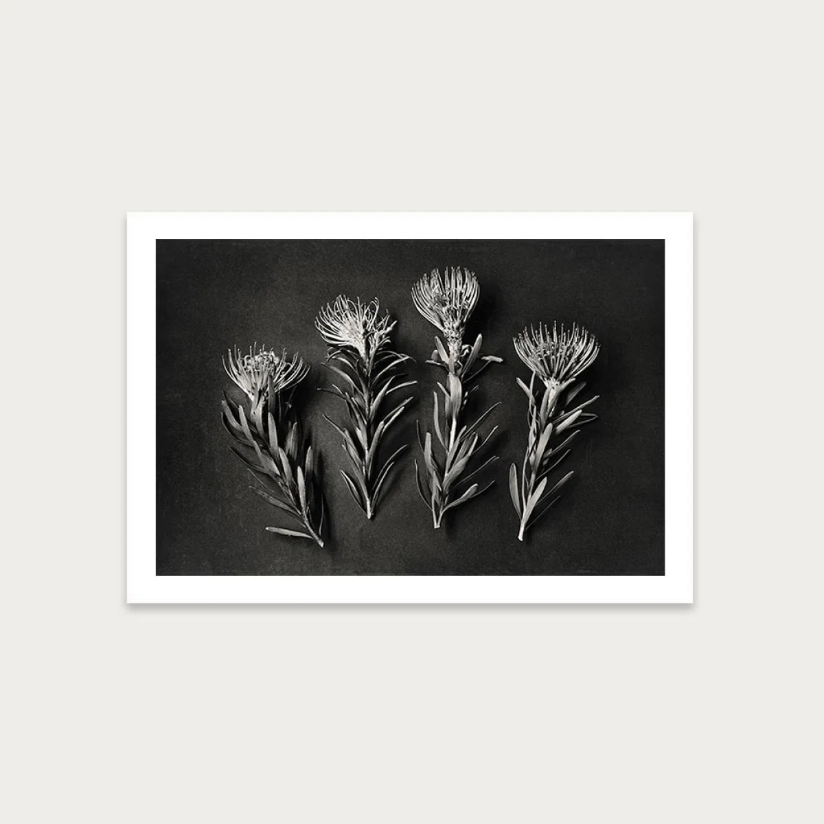 Monochrome Pins LS 1 Art Print Unframed