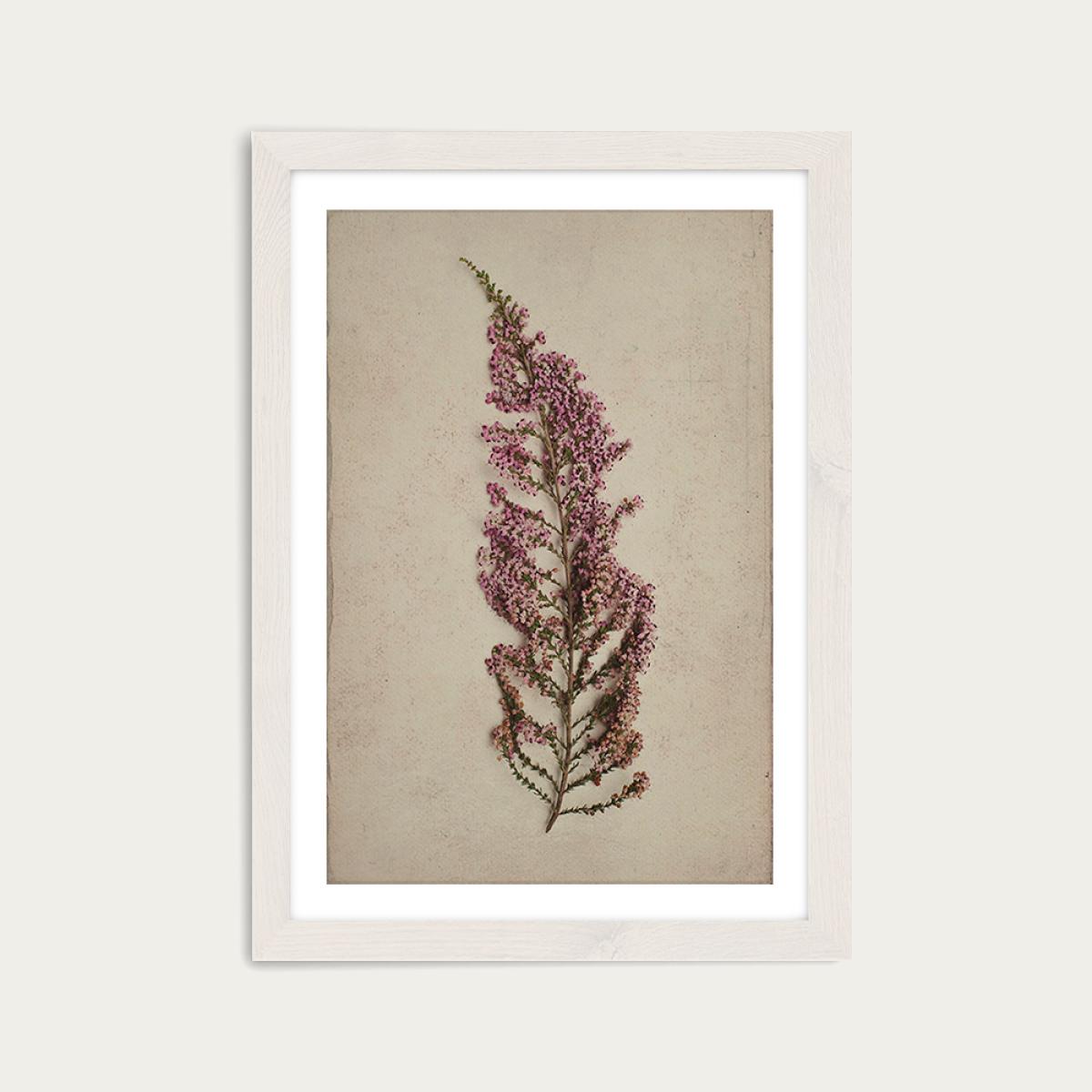 Fynbos 3 Art Print White Frame – image 1