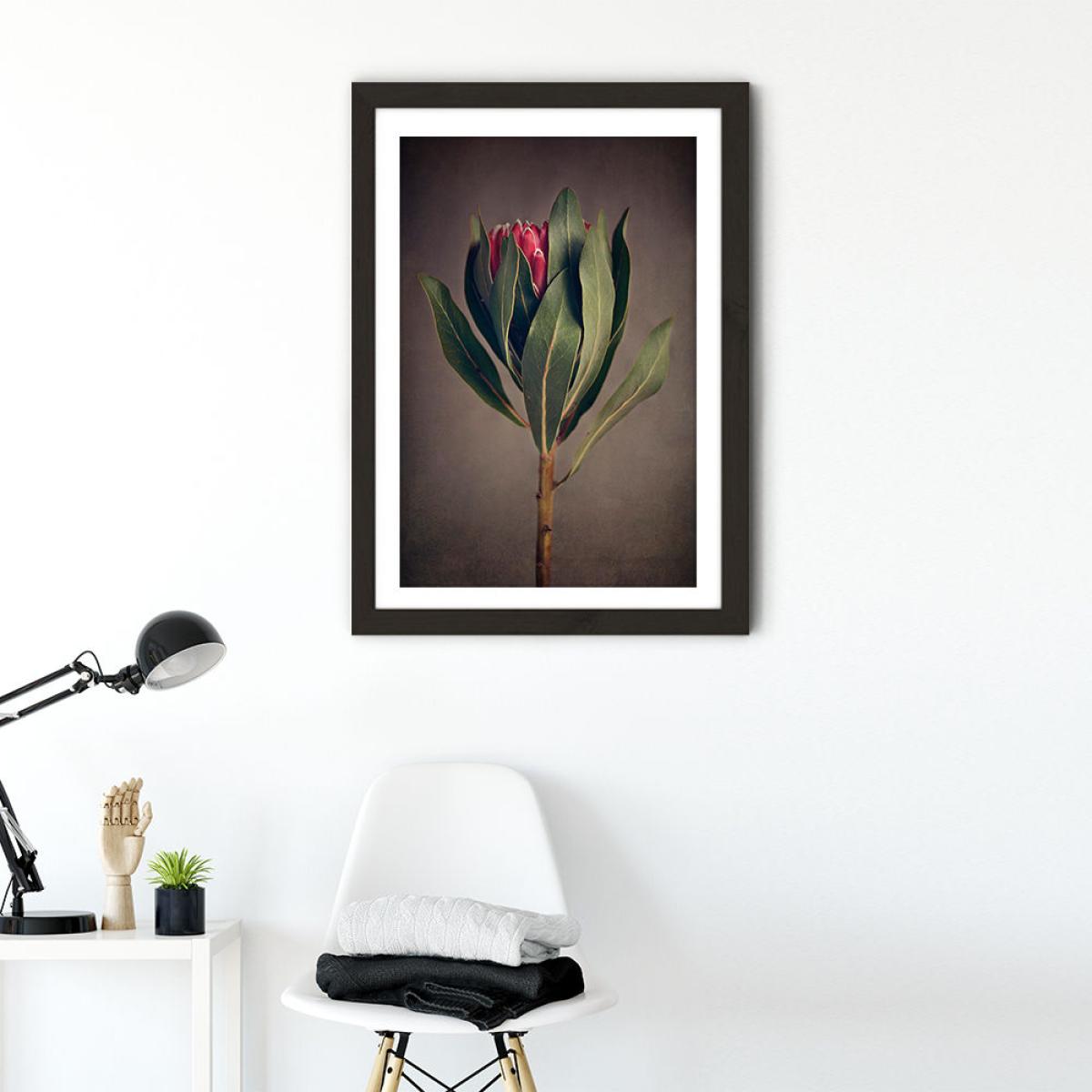 Red Protea 2 Art Print Black Frame – image 2