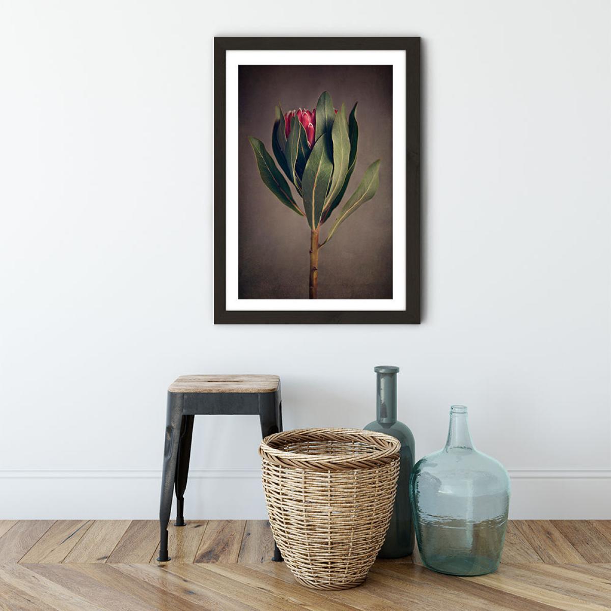Red Protea 2 Art Print Black Frame – image 3