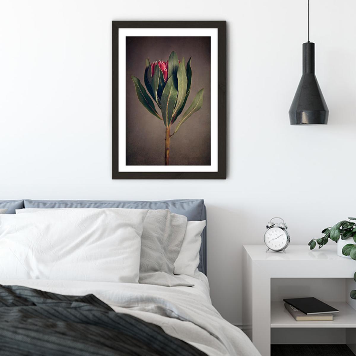 Red Protea 2 Art Print Black Frame – image 4