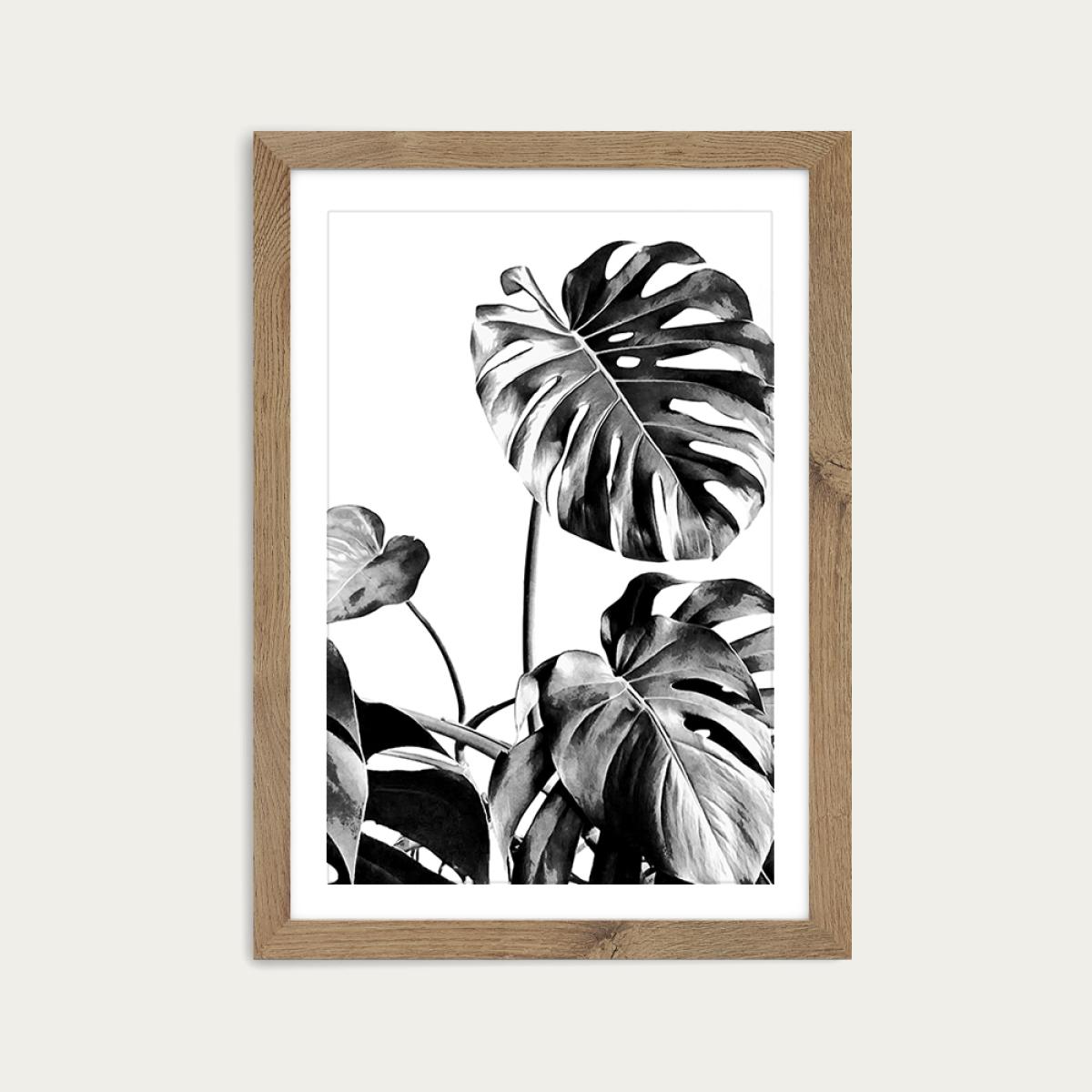Monstera Black and White 7 Art Print Oak Frame – image 1