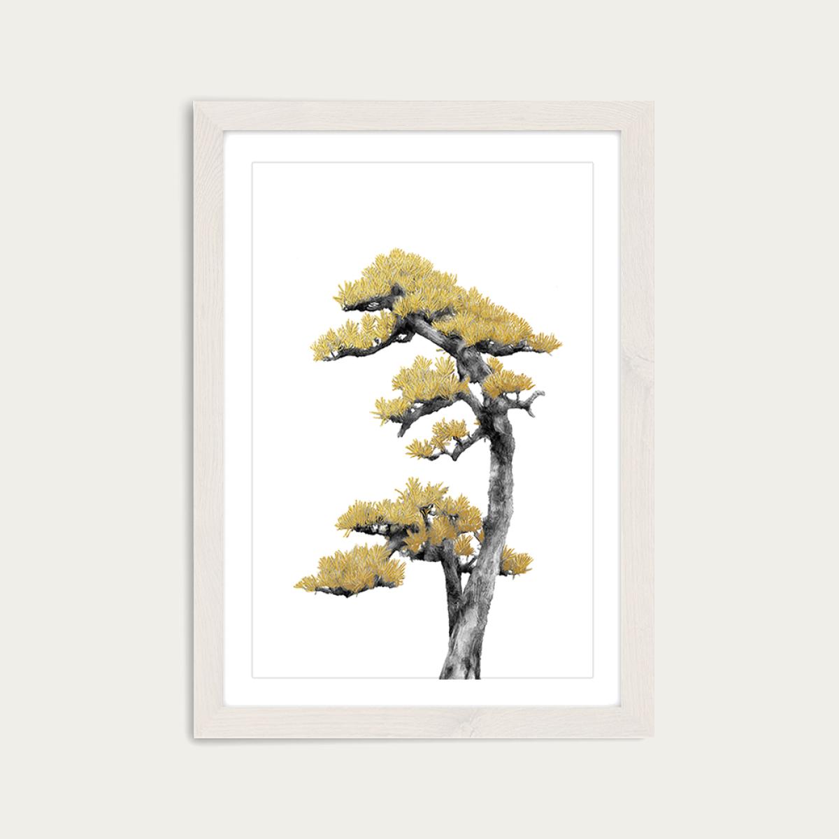 Bonsai Tree 4 Art Print White Frame – image 1