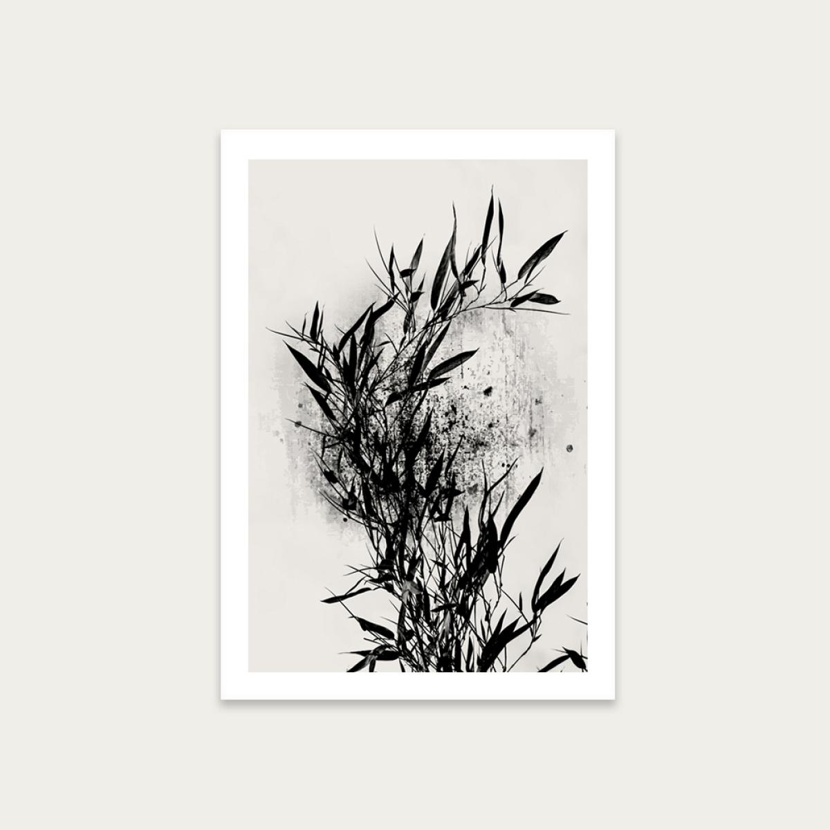 Black Orchidee Art Print Unframed