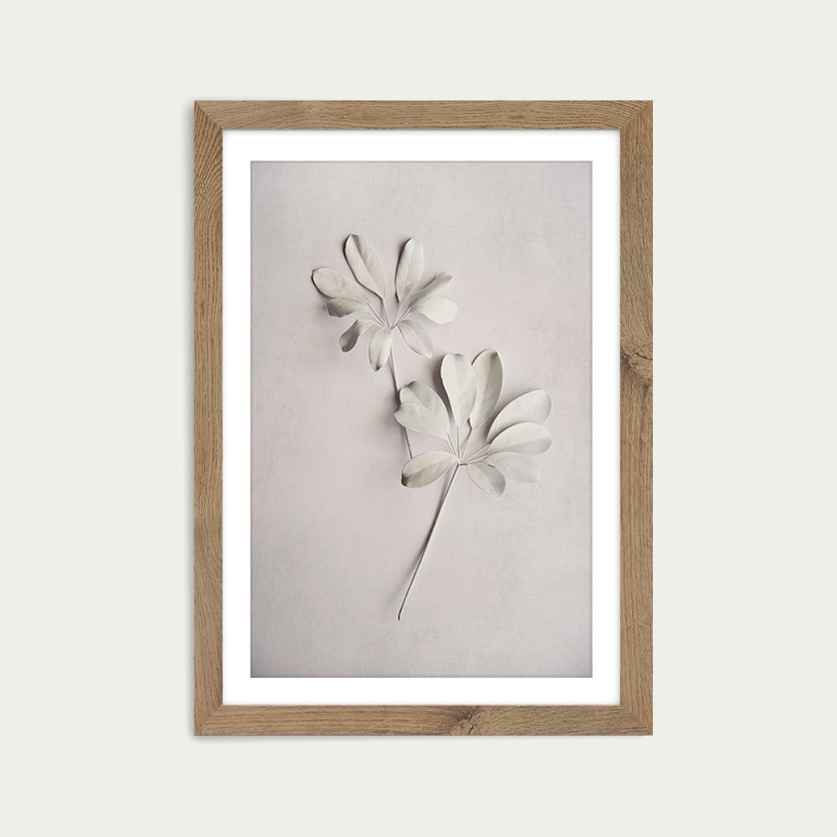 Alabaster Forest 2 Art Print Oak Frame – image 1