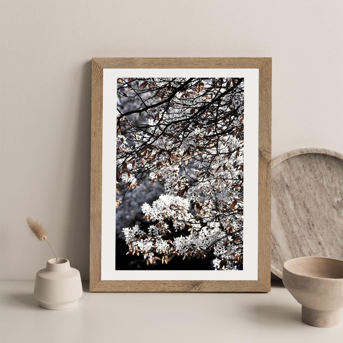 White Japan Spring Blossoms Art Print Oak Frame – image 3