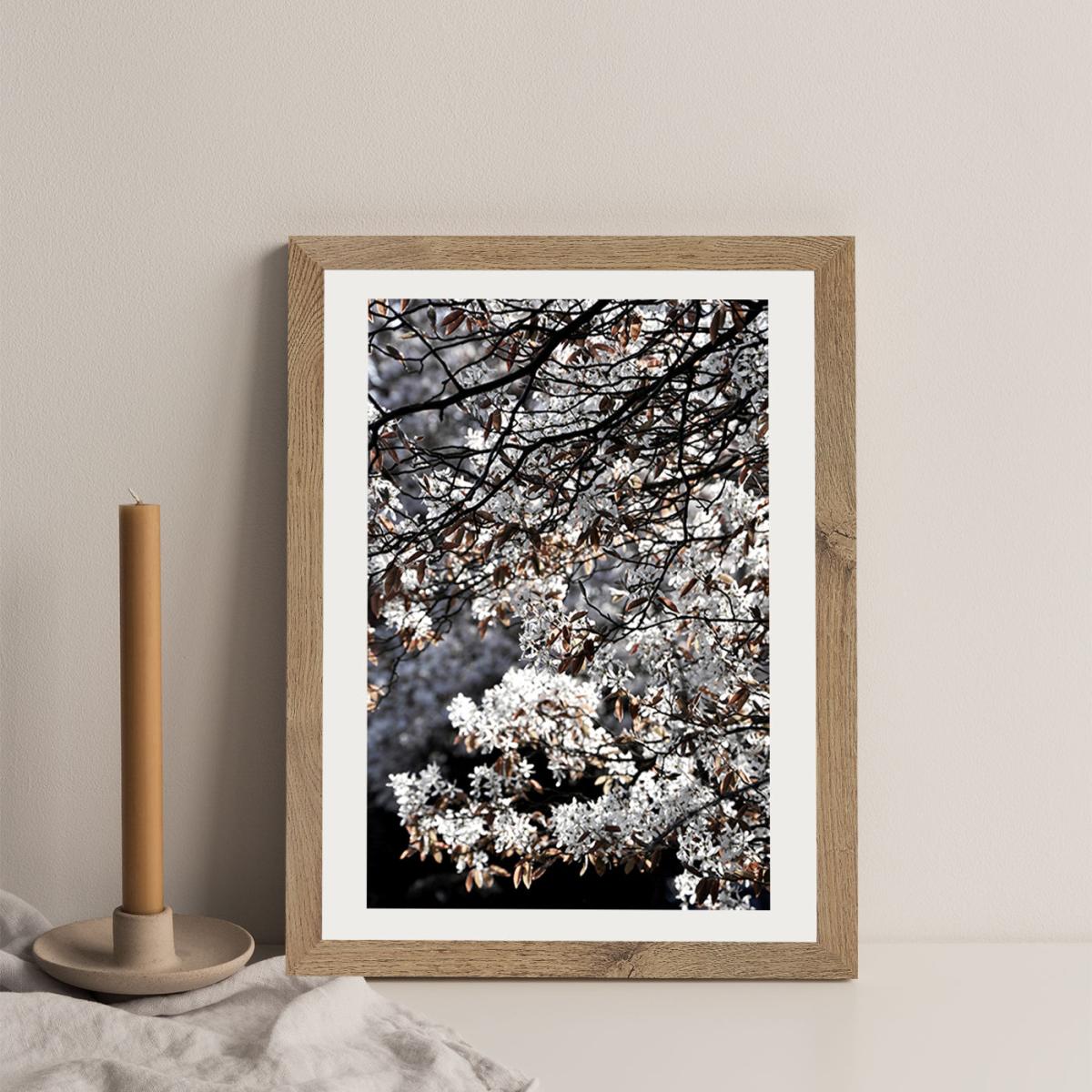 White Japan Spring Blossoms Art Print Oak Frame – image 5