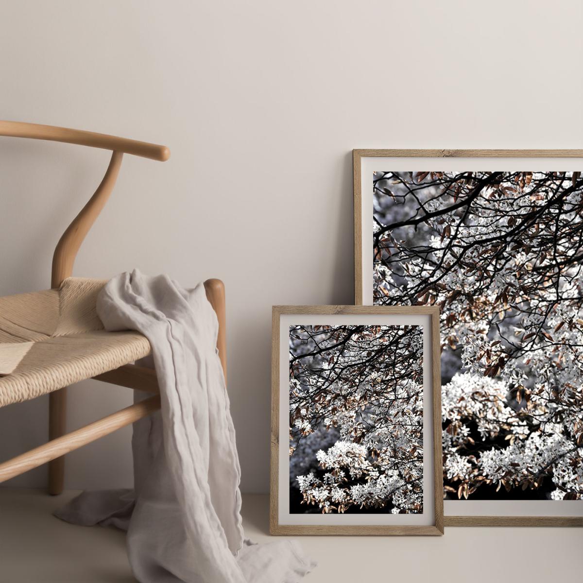 White Japan Spring Blossoms Art Print Oak Frame – image 8