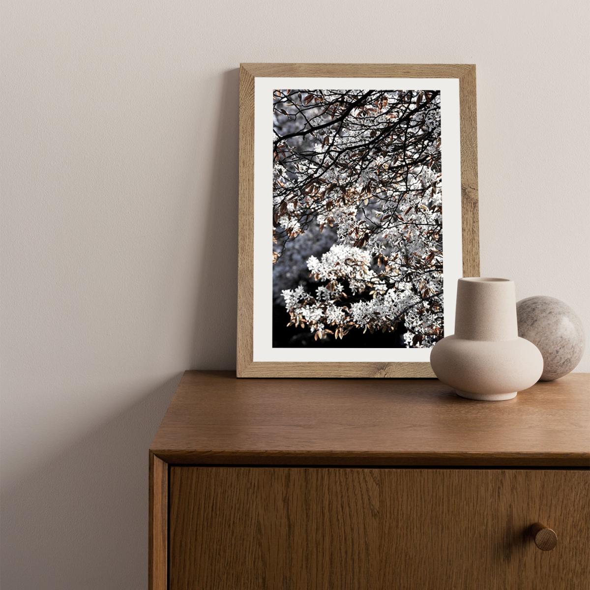 White Japan Spring Blossoms Art Print Oak Frame – image 10