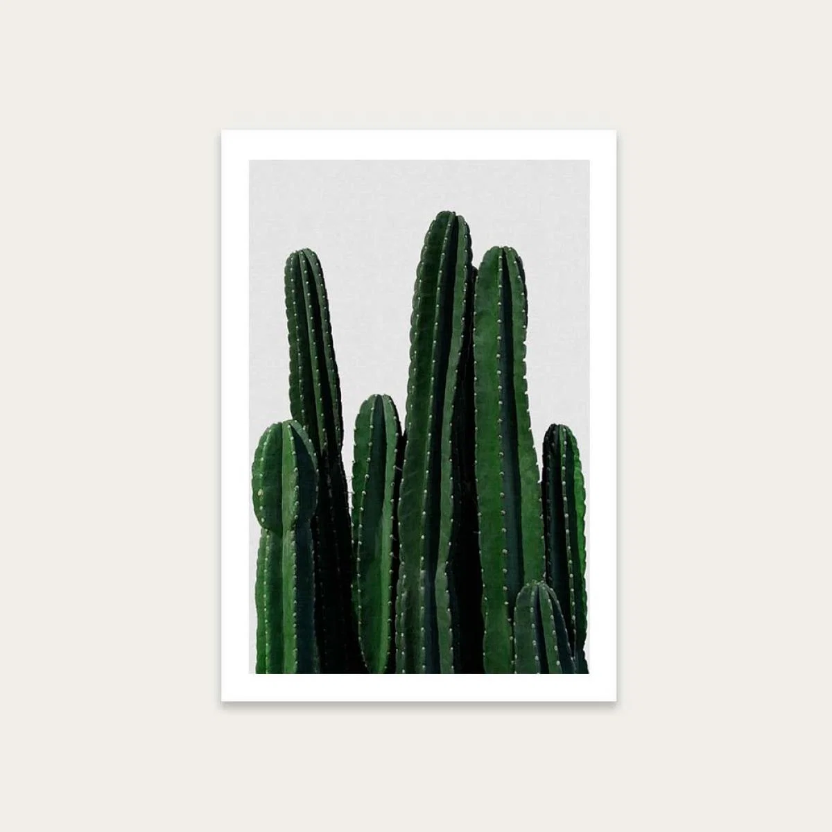 Cactus Art Print Unframed