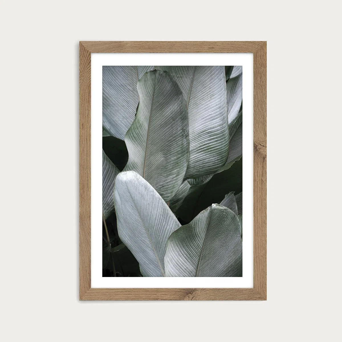 Tropical Silver Leaves Art Print Oak Frame – image 1