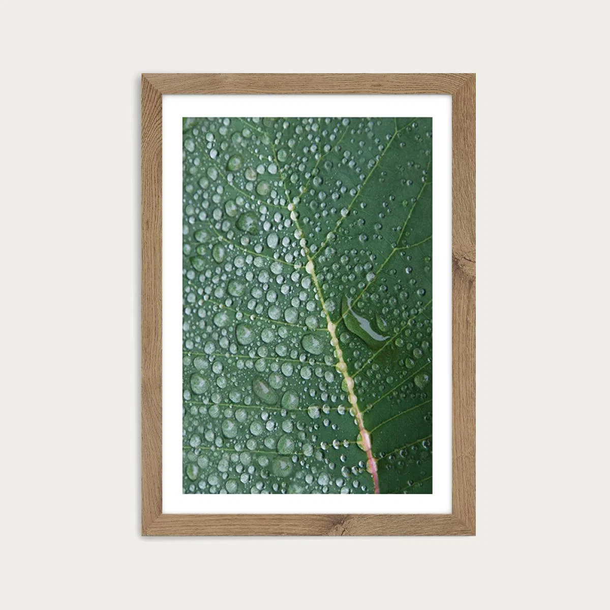 Morning in the Woods Art Print Oak Frame – image 1