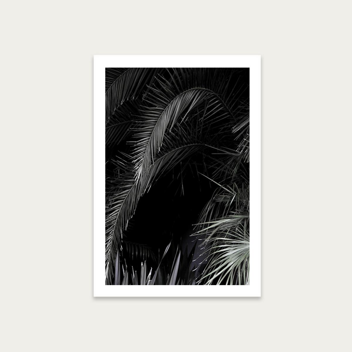 Tropical Garden 1I5 Art Print Unframed