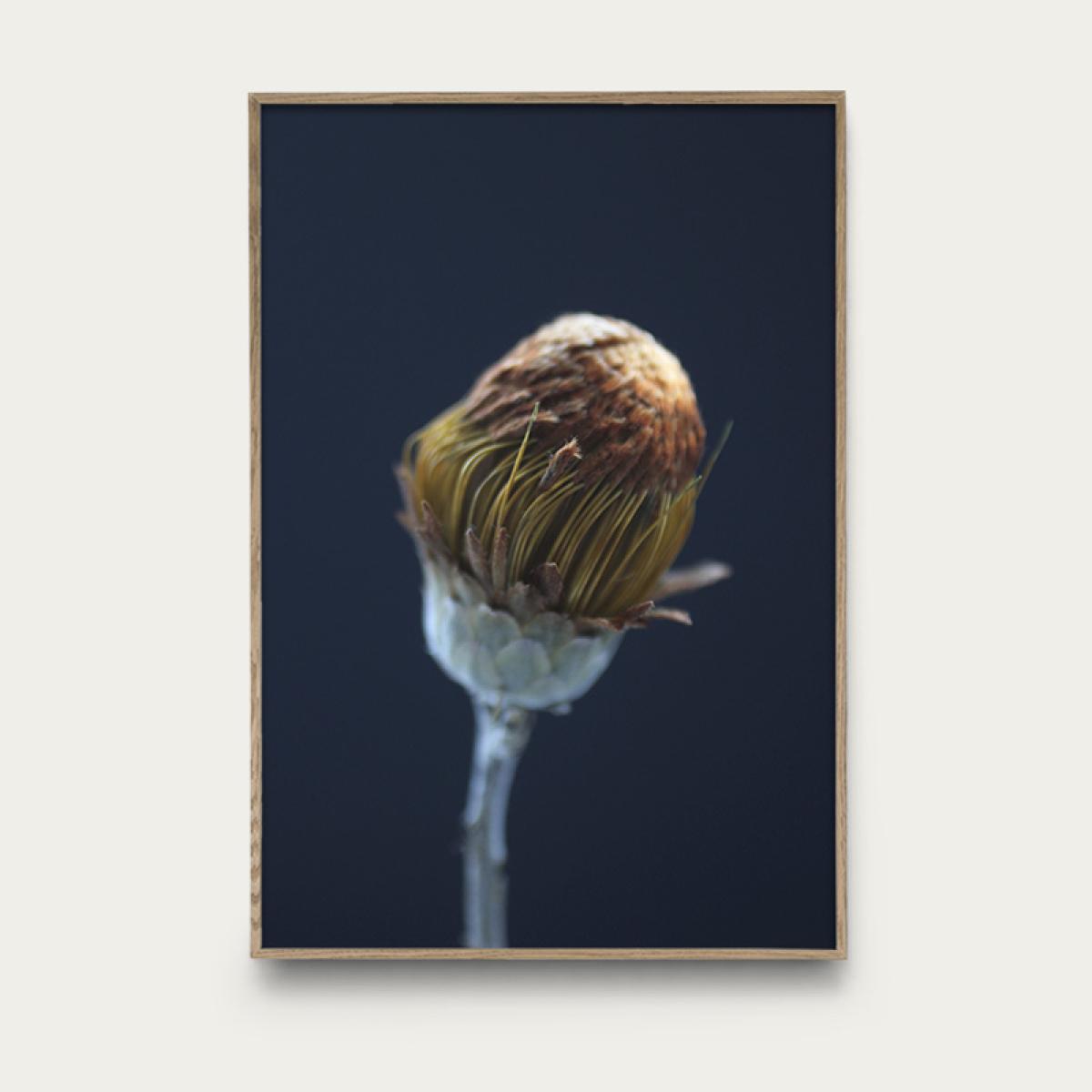 Flower 3