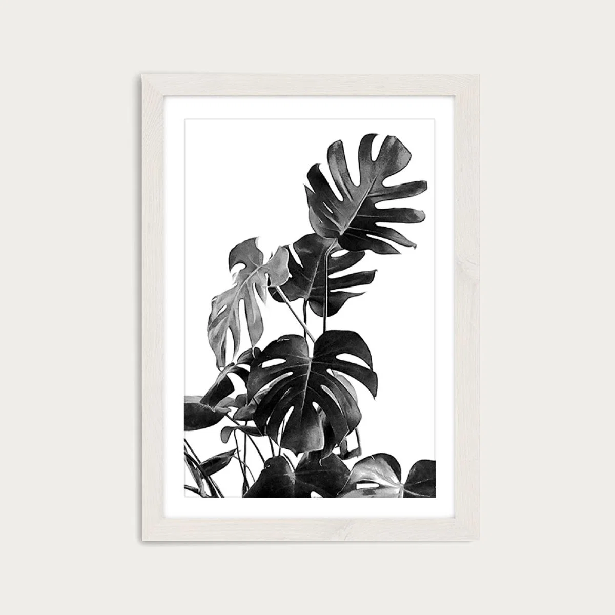 Monstera Black and White 9 Art Print White Frame – image 1
