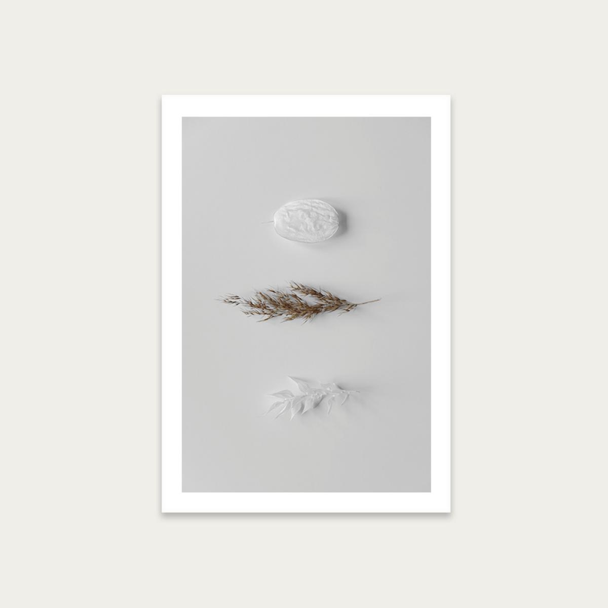 Stones & Branches II Art Print Unframed