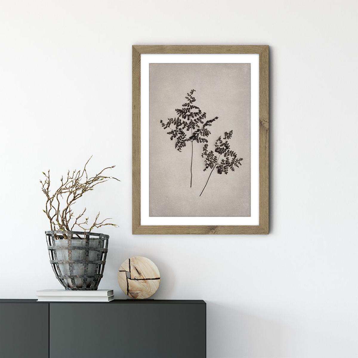 Art Forms in Nature 1 Art Print Oak Frame – image 3