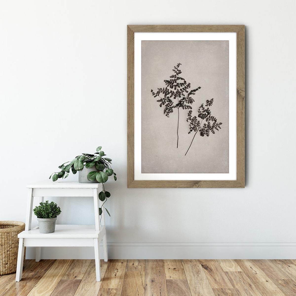 Art Forms in Nature 1 Art Print Oak Frame – image 5