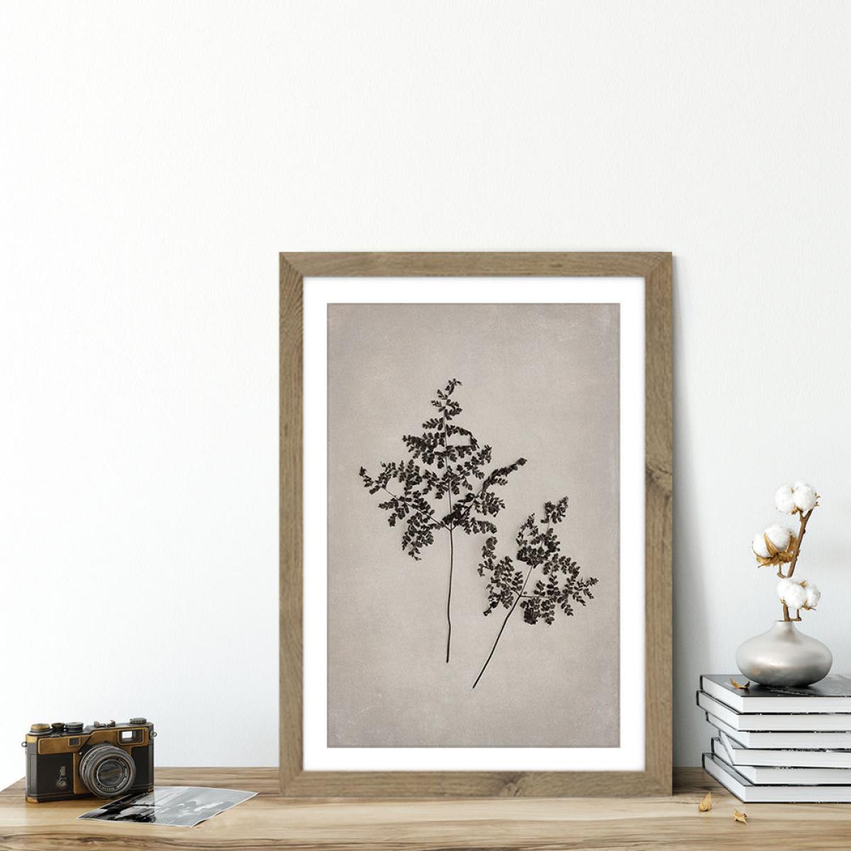 Art Forms in Nature 1 Art Print Oak Frame – image 6