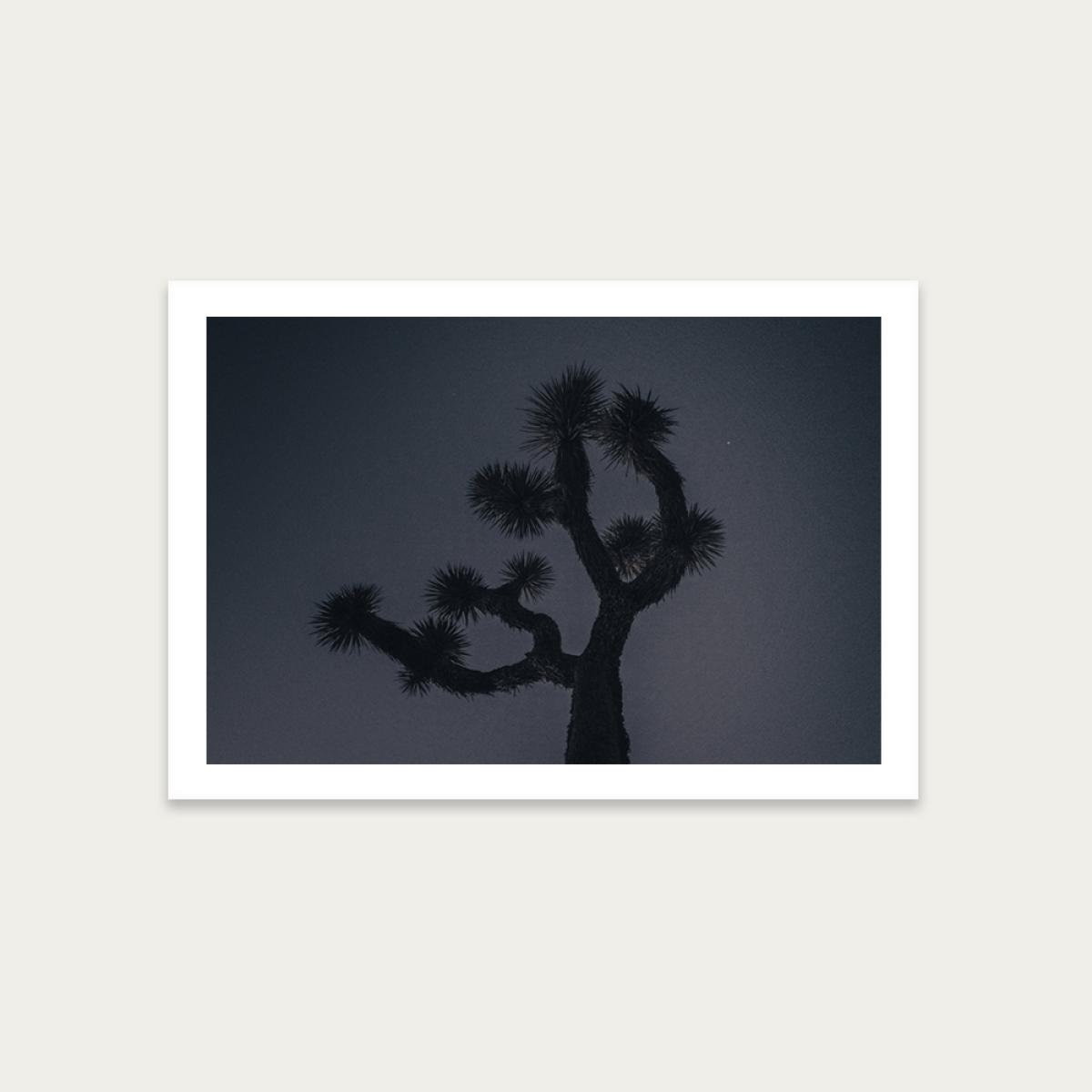 Joshua Art Print Unframed