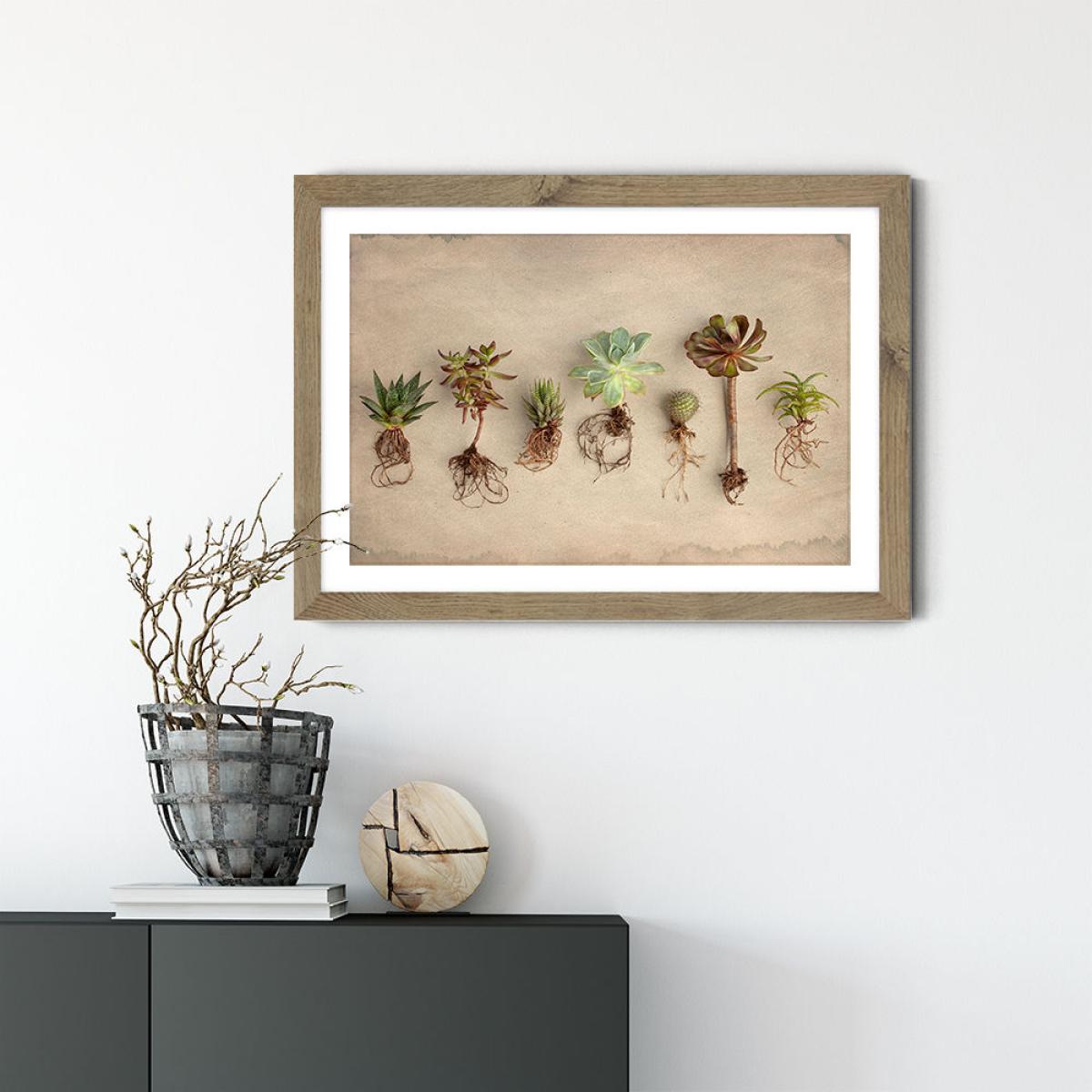 Succulent Study 9 Art Print Oak Frame – image 2