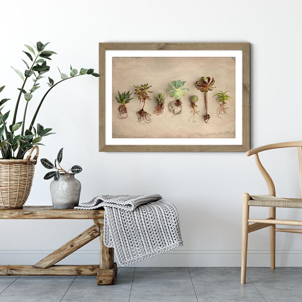 Succulent Study 9 Art Print Oak Frame – image 3
