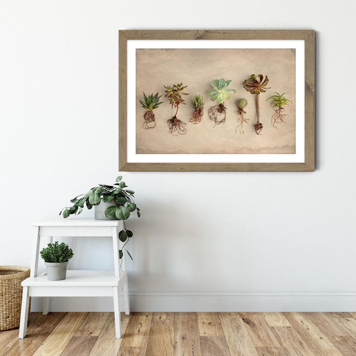 Succulent Study 9 Art Print Oak Frame – image 5