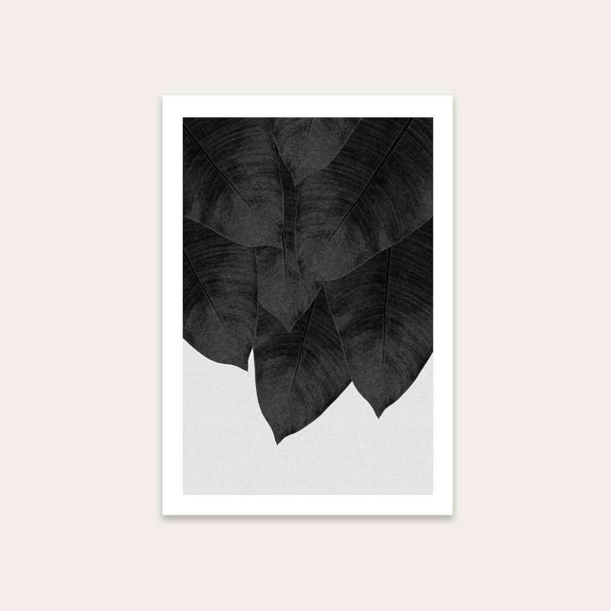 Banana Leaf Black & White Art Print Unframed