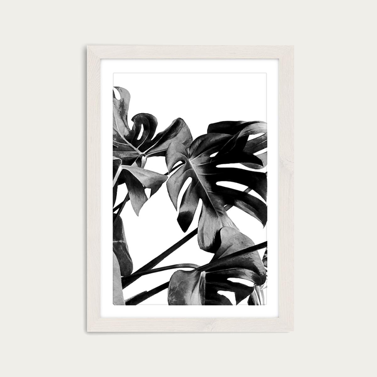 Monstera Black and White 6 Art Print White Frame – image 1