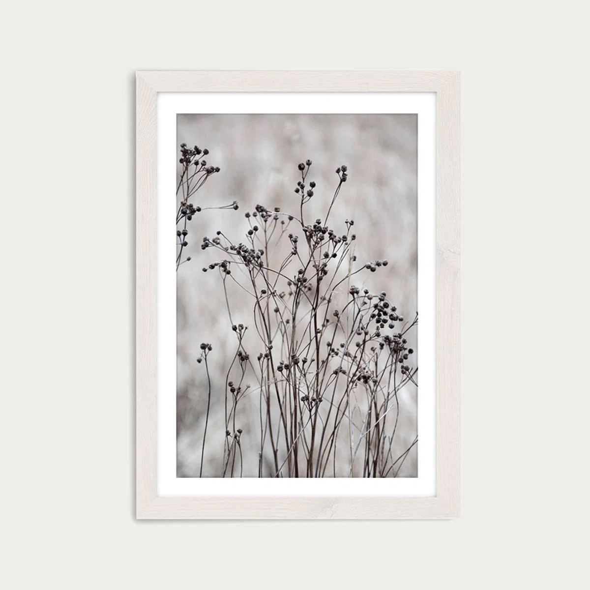 Flower Buds in the Beige Greige Golden Field 2 Art Print White Frame – image 2