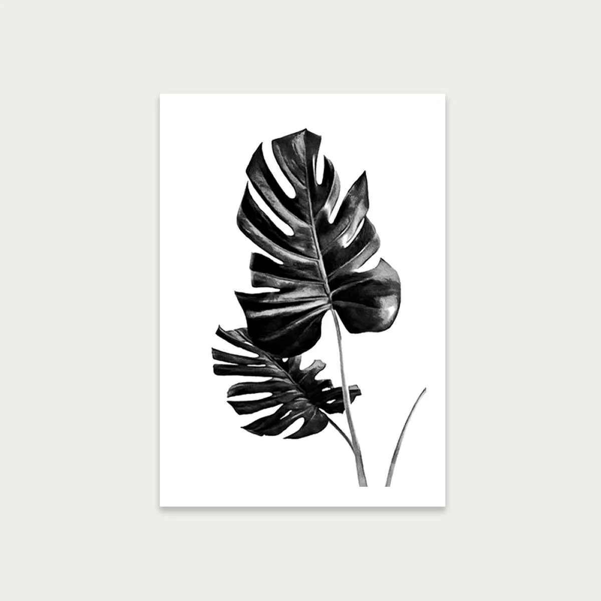 Monstera Black and White 1 Art Print Unframed