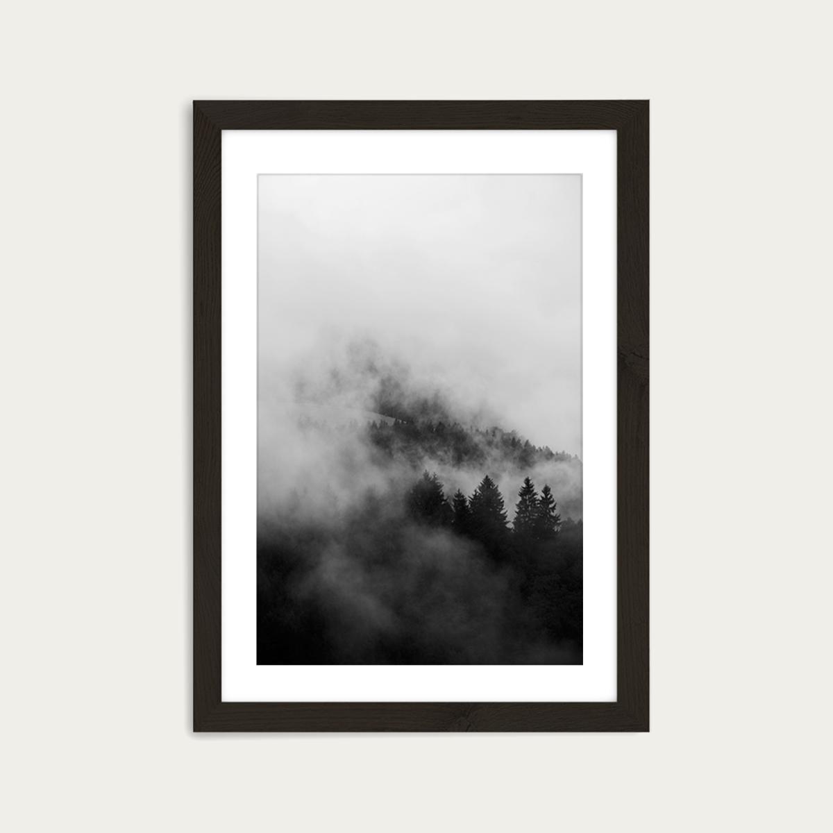 Black Foggy Forests Art Print Black Frame