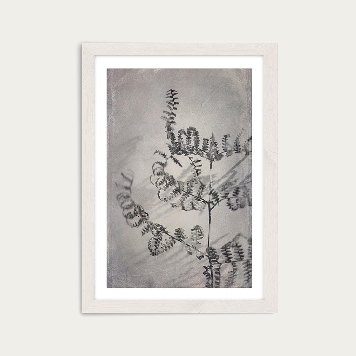 Shadowplay 2 Art Print White Frame