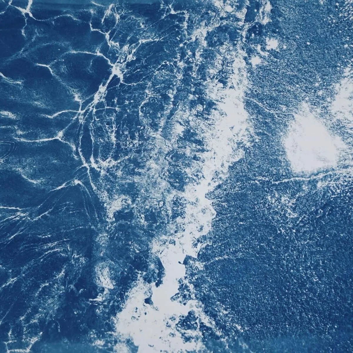 Caribbean Sandy Shore Handmade Cyanotype Art Print – image 6