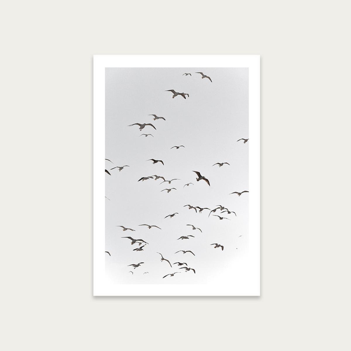 Fly High Art Print Unframed