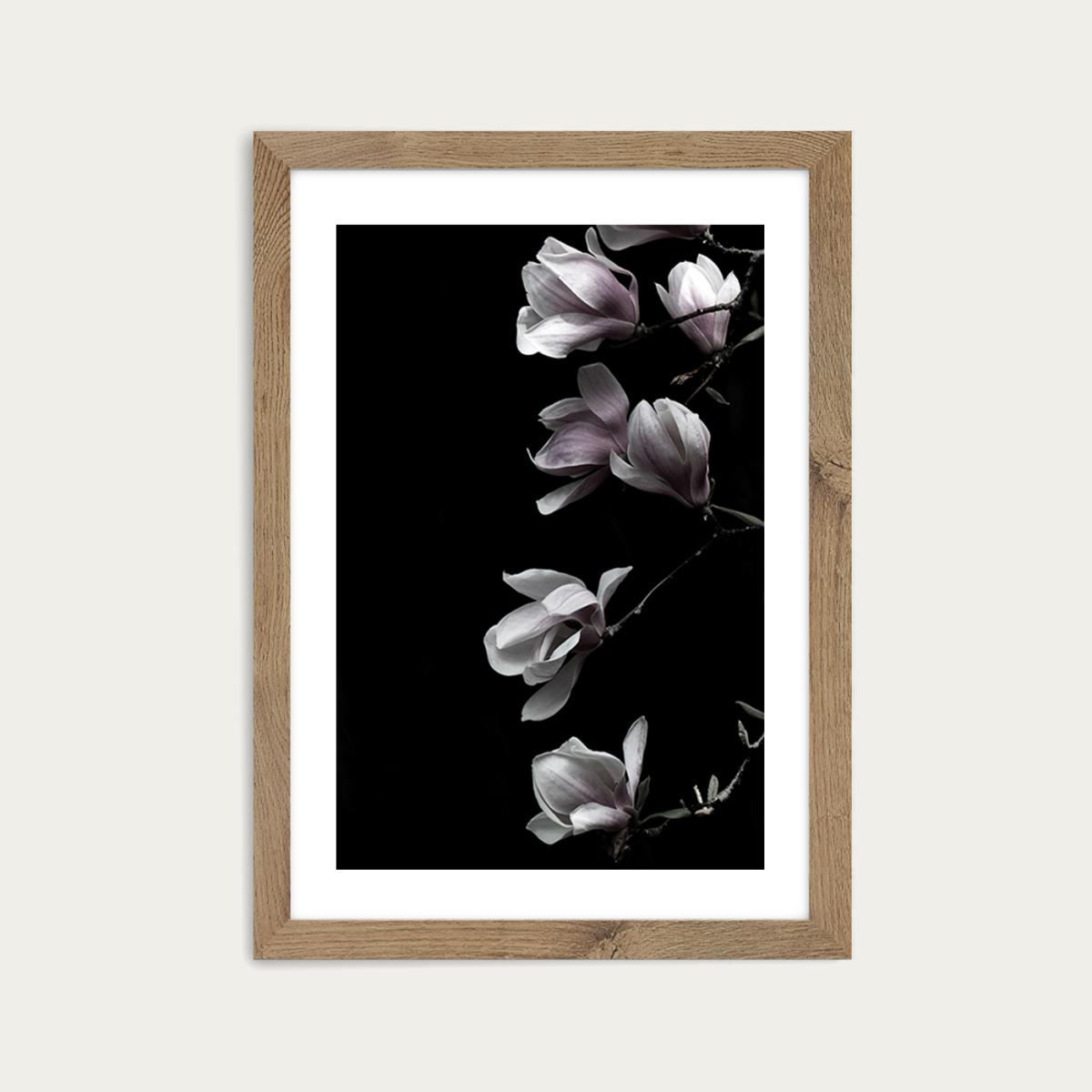 Magnolia in Black Art Print Oak Frame