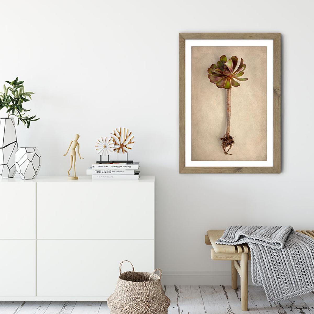 Succulent Study 7 Art Print Oak Frame – image 2