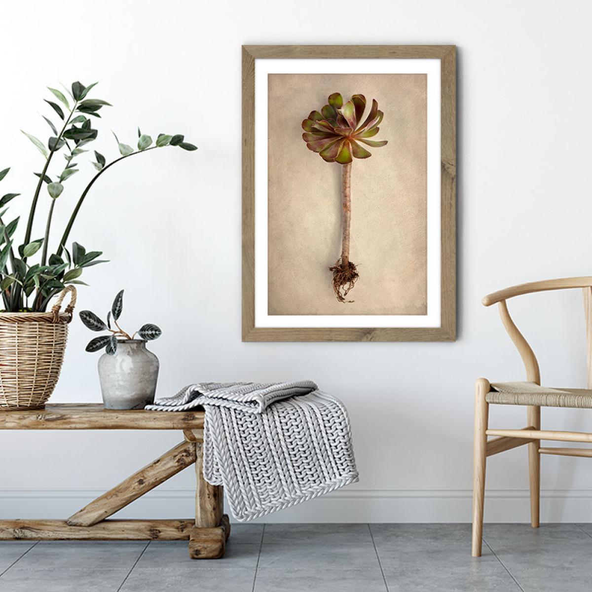 Succulent Study 7 Art Print Oak Frame – image 4