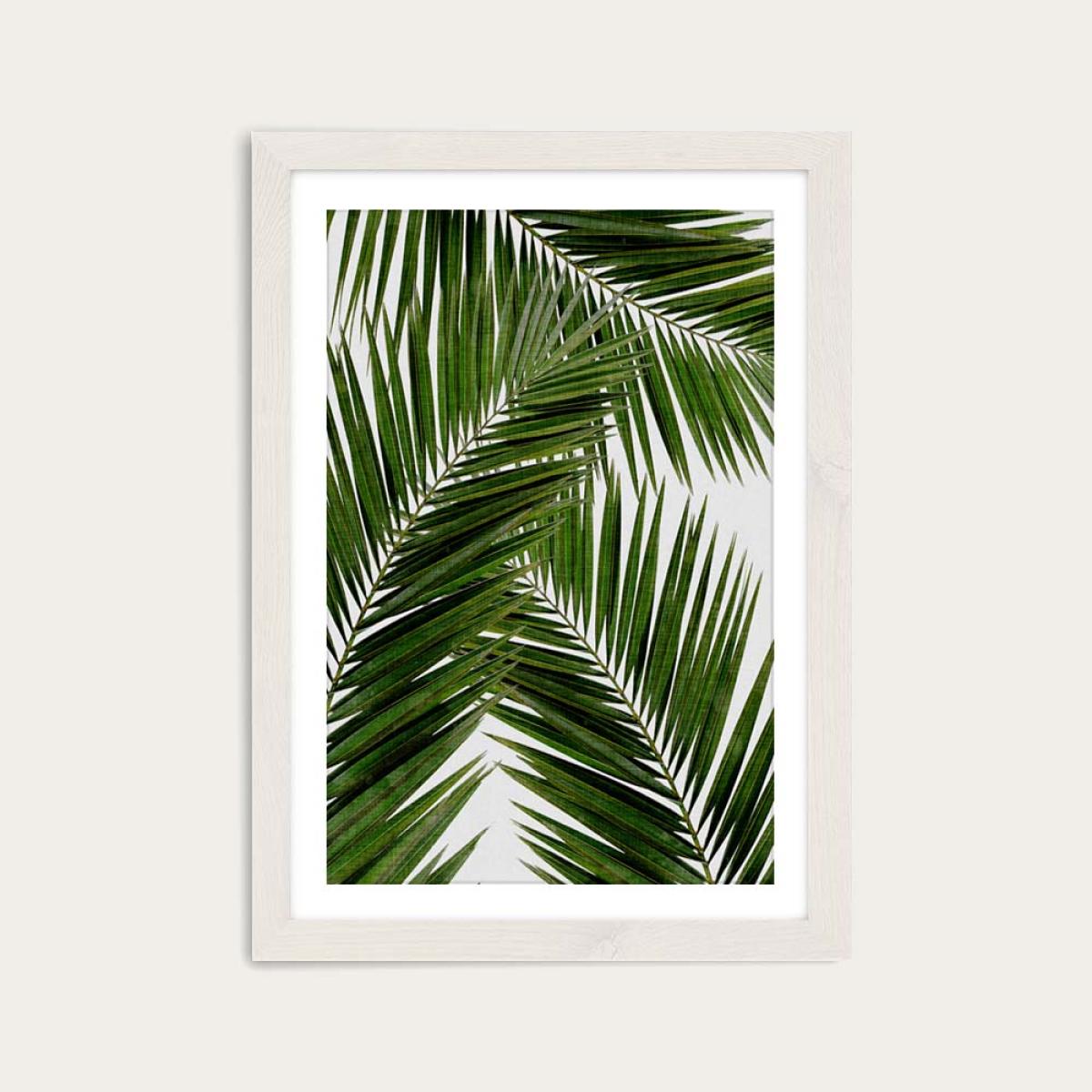 Palm Leaf III Art Print White Frame – image 1