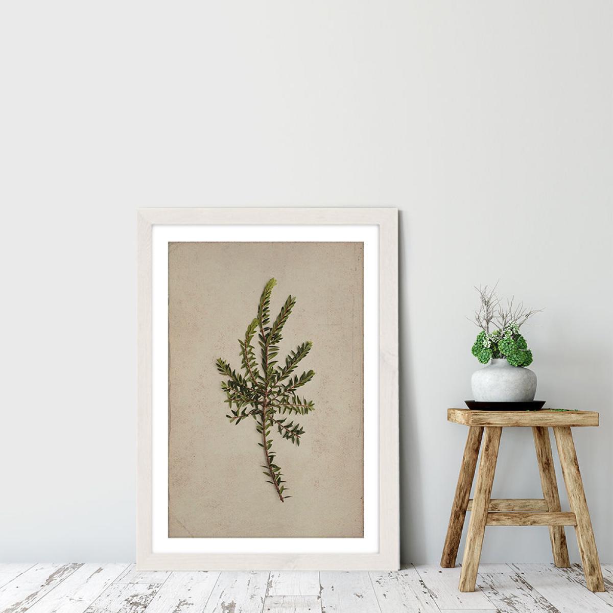 Fynbos 8 Art Print White Frame – image 4