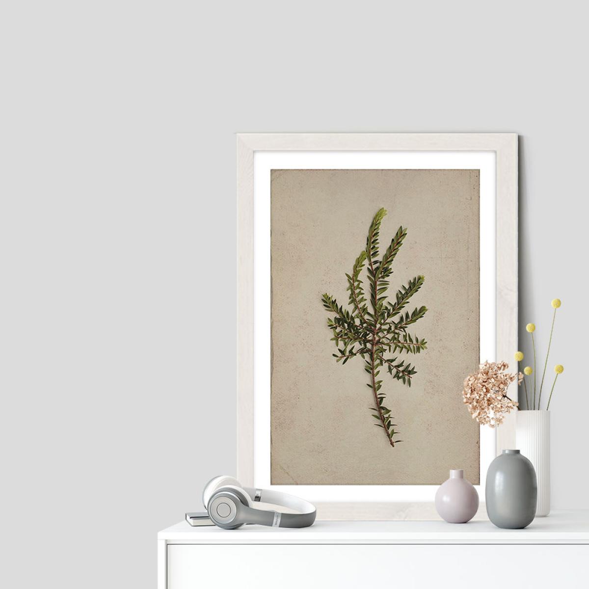 Fynbos 8 Art Print White Frame – image 5