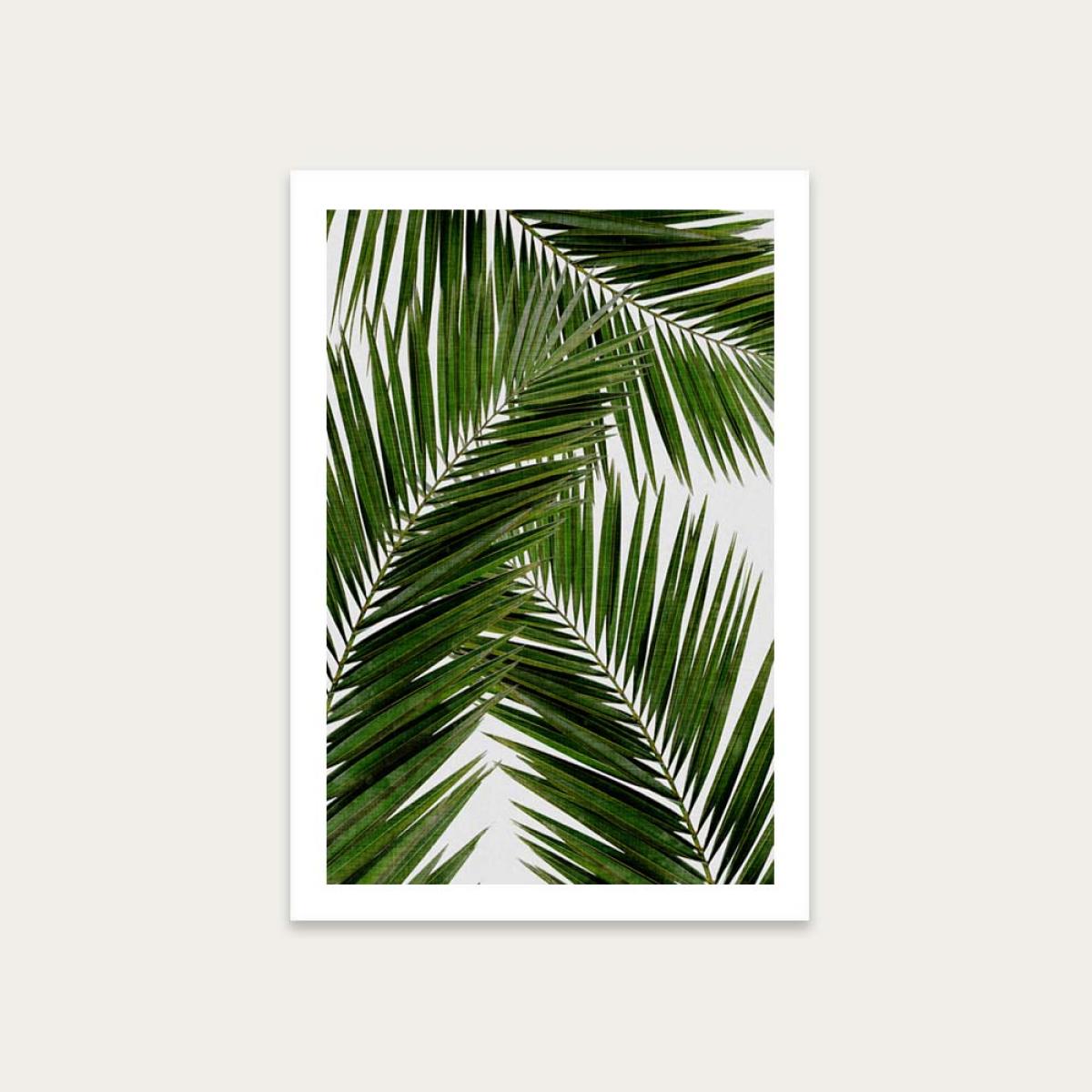 Palm Leaf III Art Print Unframed