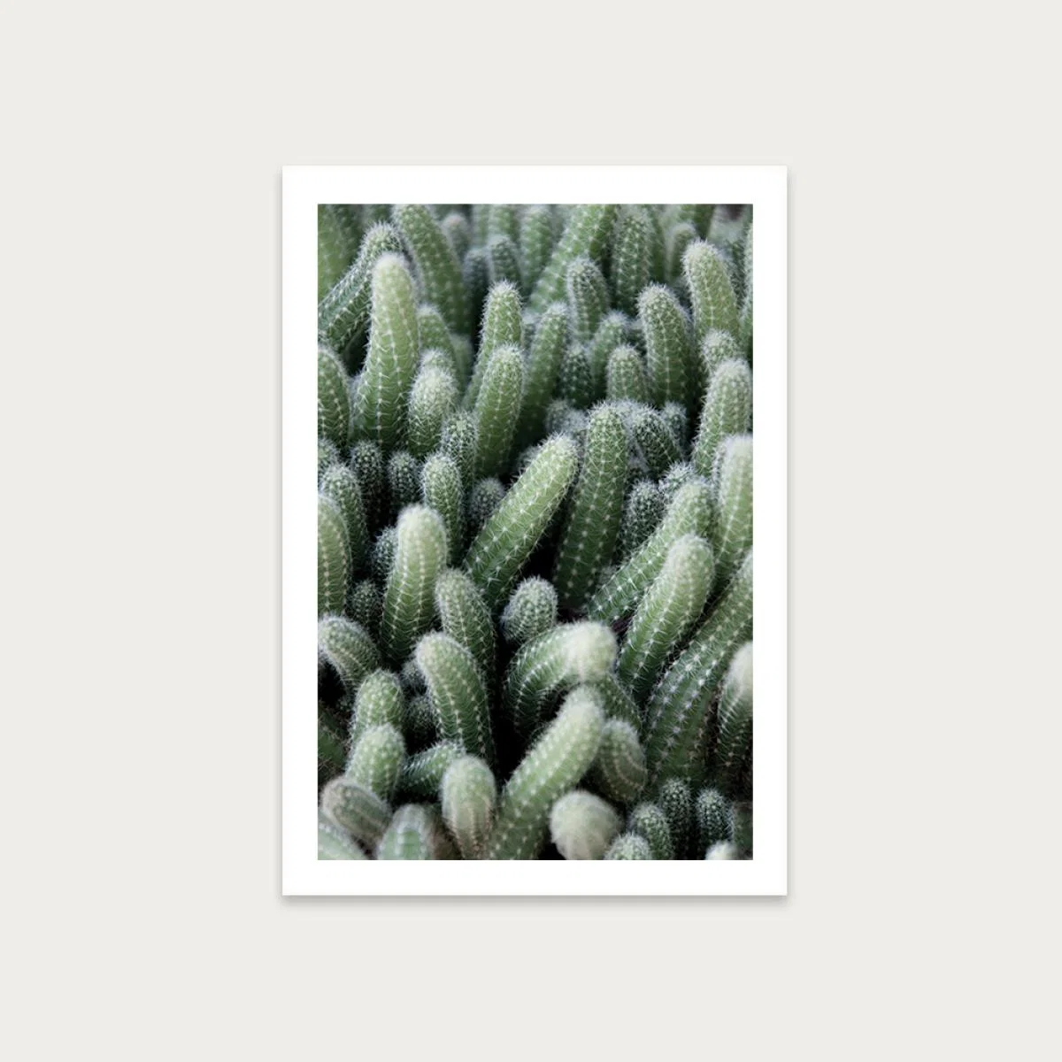 Green Cactus Garden Art Print Unframed