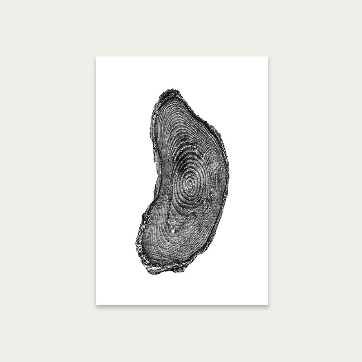 Pine Set II Art Print Unframed