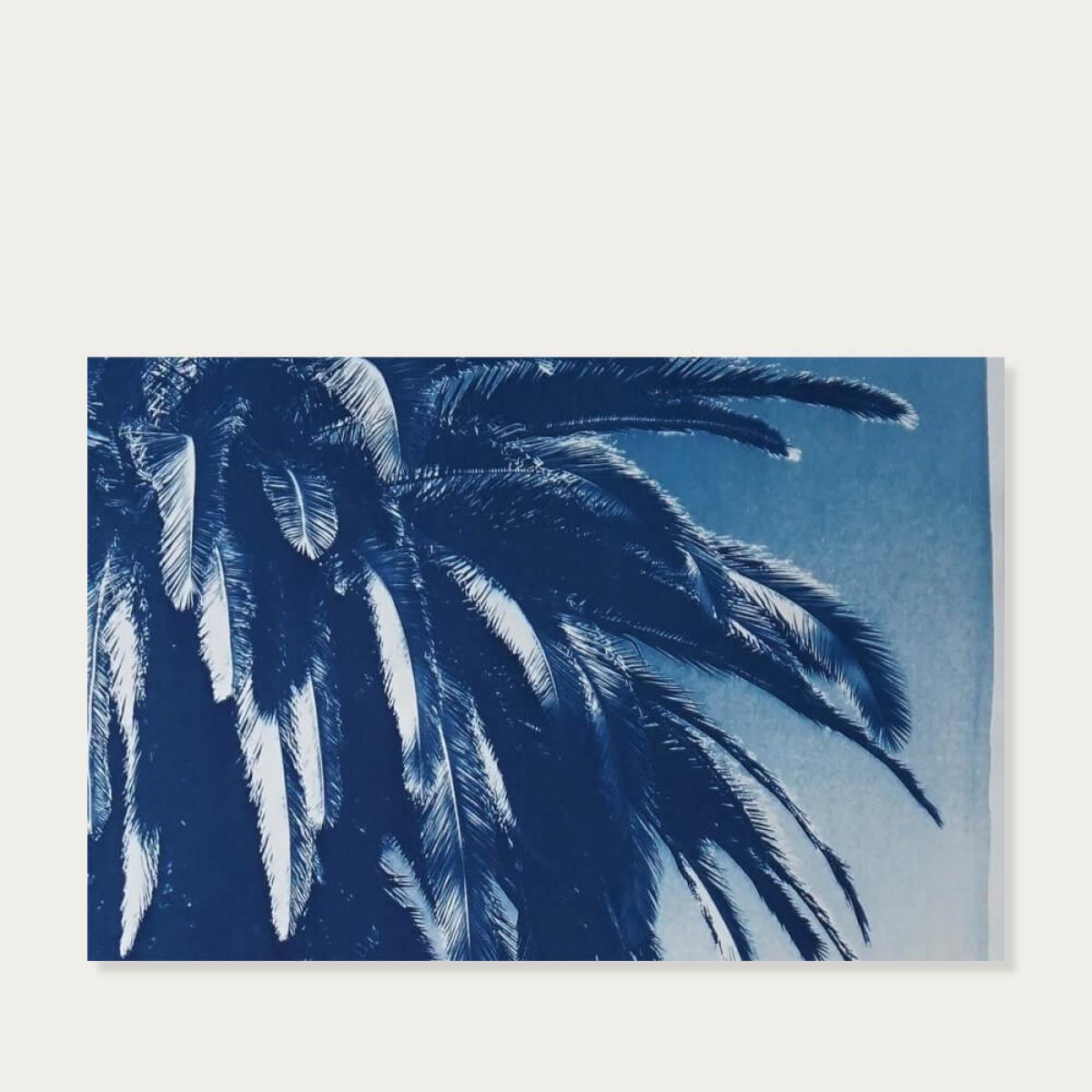 Marrakesh Majorelle Palm Limited Edition Handmade Cyanotype Art Print – image 3