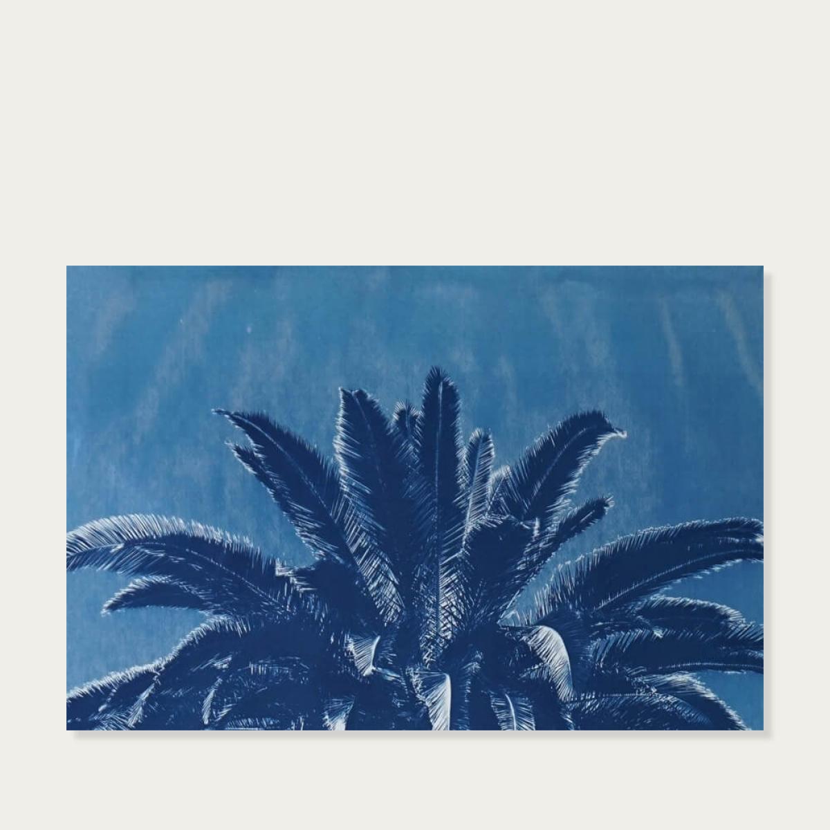 Marrakesh Majorelle Palm Limited Edition Handmade Cyanotype Art Print – image 5