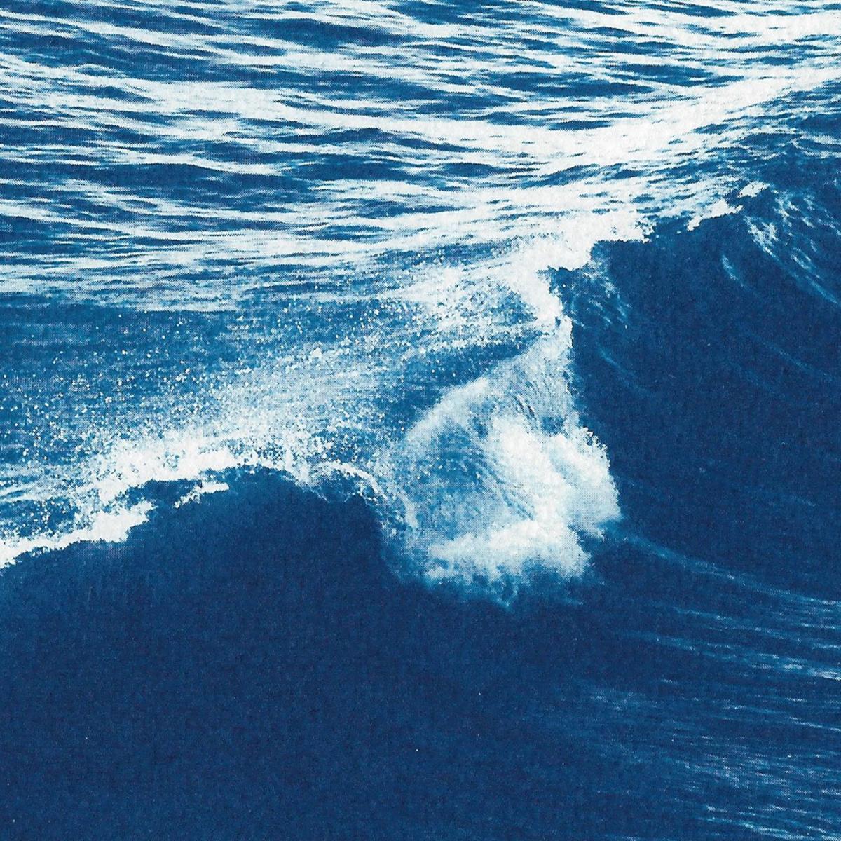 Long Wave in Venice Beach Handmade Cyanotype Art Print – image 3