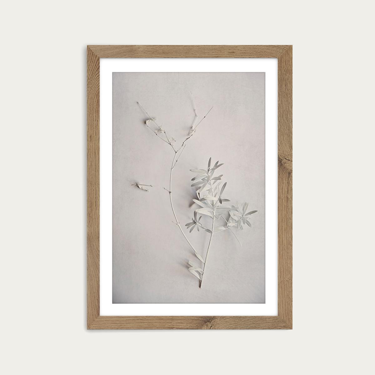 Alabaster Forest 5 Art Print Oak Frame – image 1
