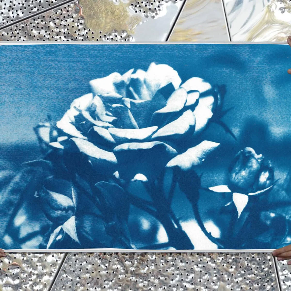 Blue and White Rose Handmade Cyanotype Art Print – image 7